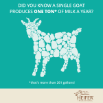 heifer_facebook_graphic1d_as1